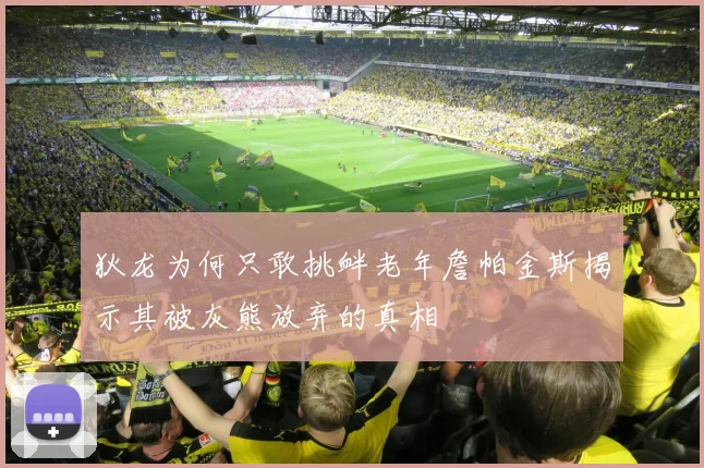 狄龙为何只敢挑衅老年詹帕金斯揭示其被灰熊放弃的真相